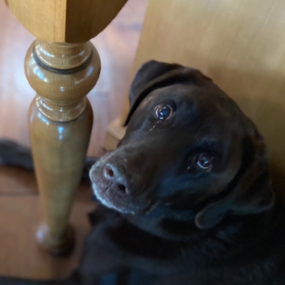 Meet your Posher, Jenna